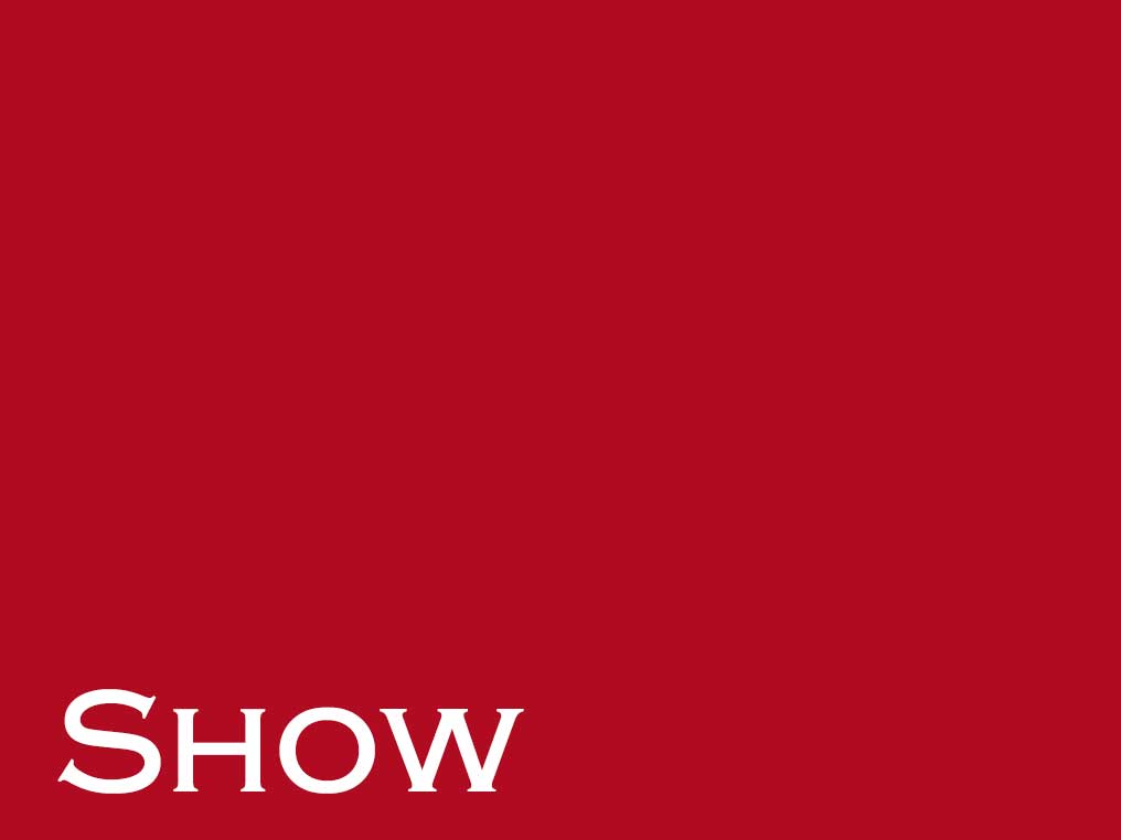 Show Künstlerer und Unterhaltung Show der 20er Jahre